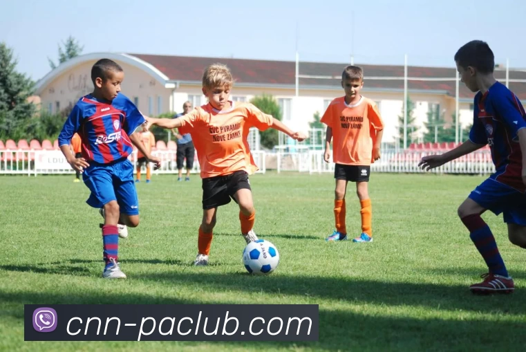 PA直营平台服务体系